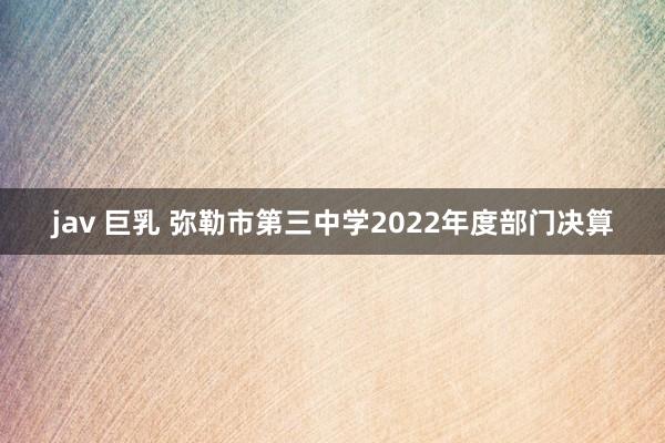 jav 巨乳 弥勒市第三中学2022年度部门决算